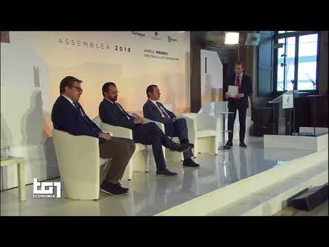 Rai1. TG1 Economia IVA. Vaccarino: scelta da ponderare attentamente