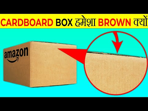 CardBoard Box हमेशा Brown ही क्यों होता है? | Why Cardboard Box Are Always Brown? | Facts |FE Ep#168
