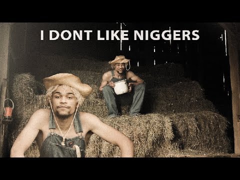 I Don't Like Niggers