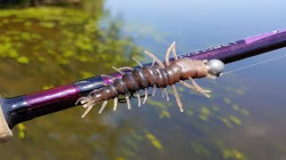 Fishing a Nikko Hellgrammite on the River - Big Smallmouth Bass & Northern Pike