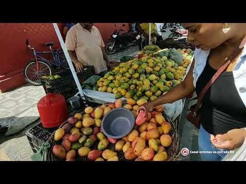 maravilha Alagoas feira livre