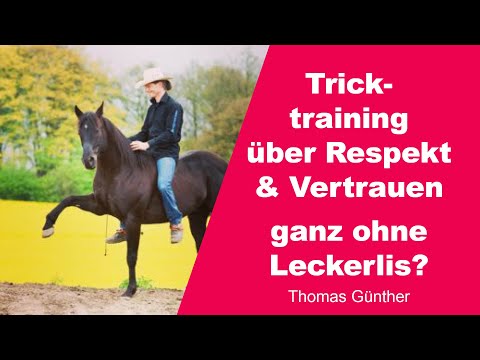 Tricktraining über Kommunikation, Respekt & Vertrauen ganz ohne Leckerlis? | Thomas Günther