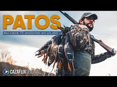 This is how I hunted 73 wild ducks in one day 💥🦆 | We tested the new Benelli Advanced Impact system