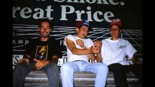 Beastie Boys LIVE - Car Thief [Brussels, Belgium 1992-06-21]