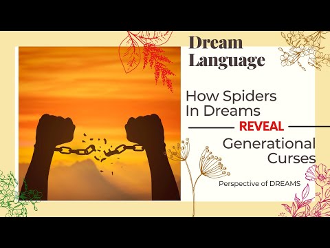 How Spiders In Dreams Can Reveal Generational Curses |  Biblical & Spiritual Meaning To Dreams