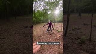 Download lagu #removing #treestump #woods #chainsaw mp3