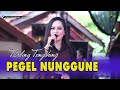 PEGEL NUNGGUNE TENGDUNG CITRA NADA LIVE DESA CIBUNIWANGI KEC BANJARHARJO KAB BREBES