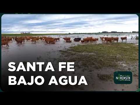 Campos de Santa Fe bajo agua: “La situación es complicada” y crecen los reclamos
