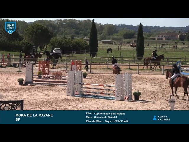 M&acirc;le de 4 ans pour le sport! 