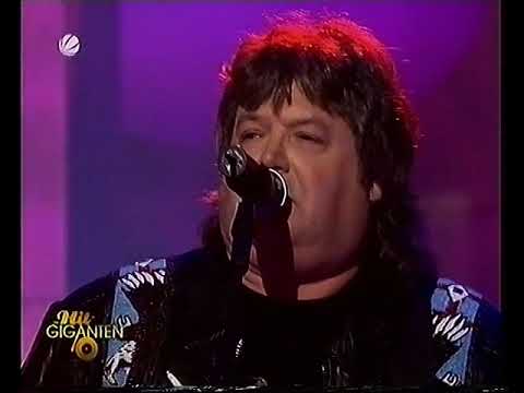 THE ANIMALS - House Of The Rising Sun (Hit Giganten 2008 German TV)