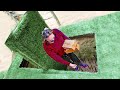 Porch Pirates Who Got Owned By Booby Traps