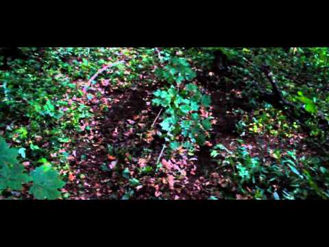 Sagan om Femman 2 - Trailer