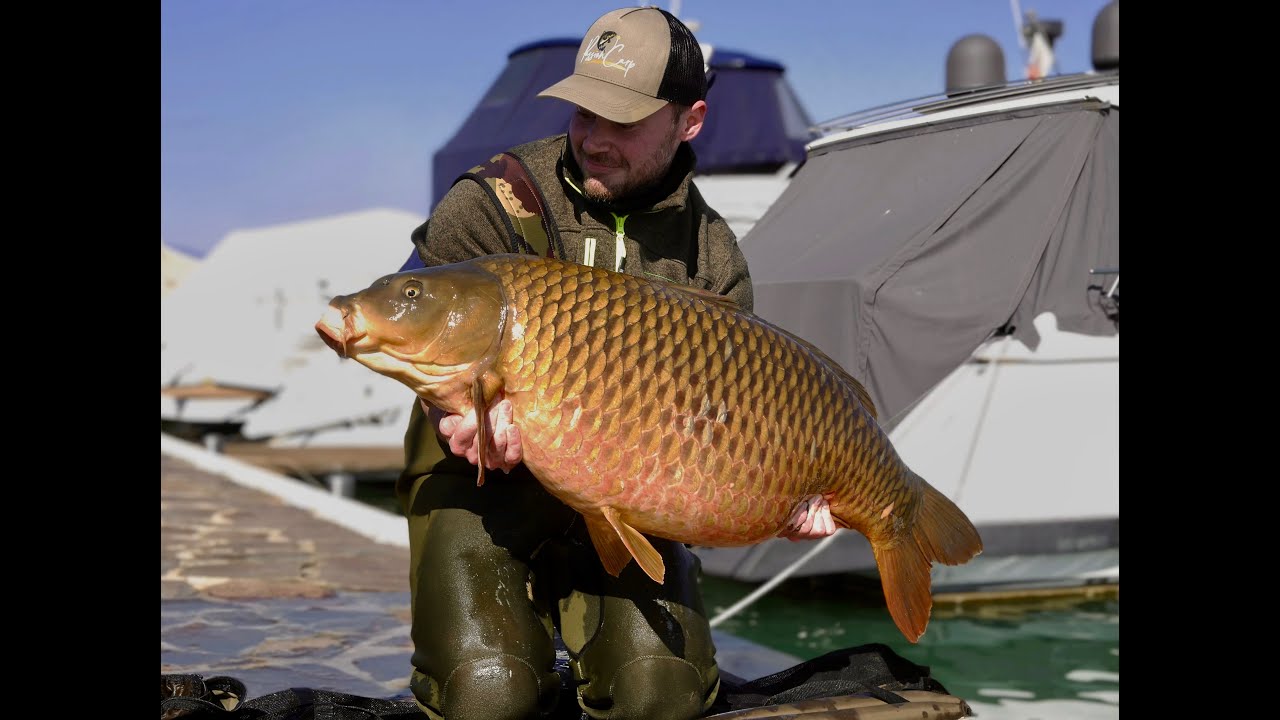 Garda | Carpfishing Business