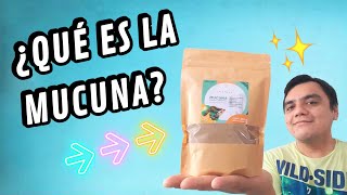 Mucuna ¿Qué es la mucuna🚀❤  Beneficios de la mucuna| ¿Para qué sirve #Mucuna #RecetasConMucuna