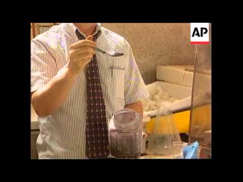 Israel - Ancient technique of clothes dying found