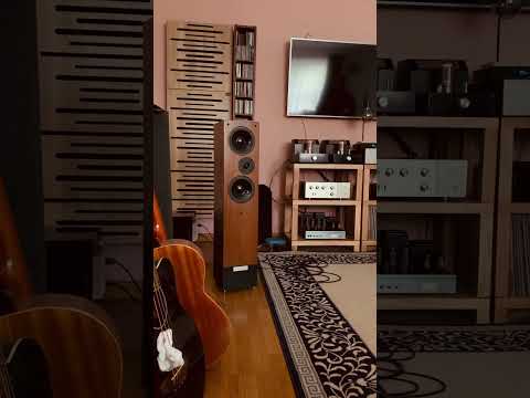 Living Voice Avatar R3 + Audion Black Shadow 2 , Airtight, Audio Note Oto Signature #audioarchitect