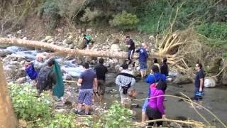 preview picture of video 'Terrain Tigers Jungle OTR Uttrakhand Part 2'