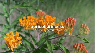 apricot princess // rex orange county - lyric video