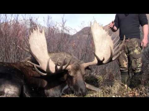 Yukon Moose Hunt 2012
