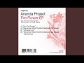 Remember When (... The Wind) (Alternate Mix)