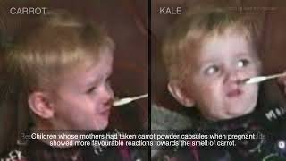 研究:孩子记得在母亲子宫里接触的蔬菜气味