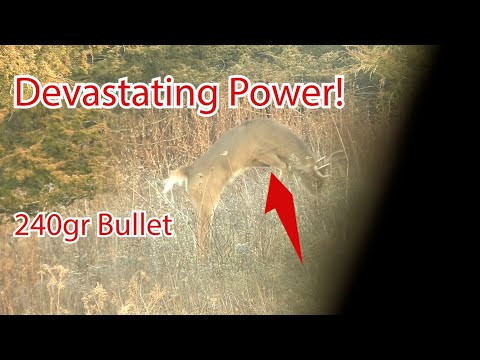 44 Magnum vs 10 Pointer Slow Motion