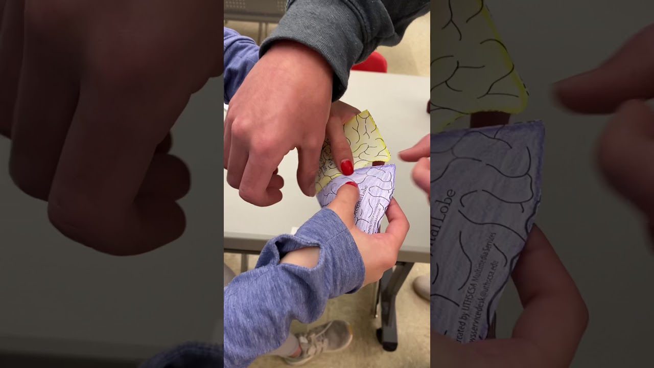 Make up your mind brain cap activity