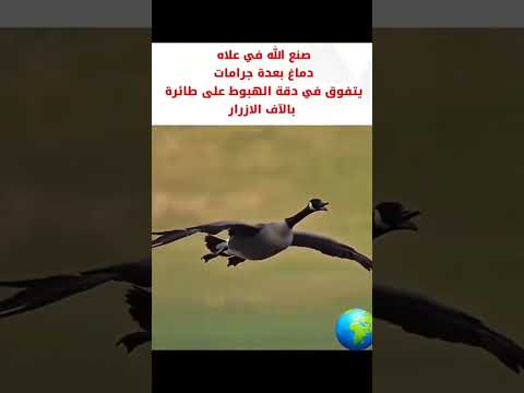 سبحان الله