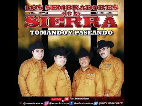 Cuidando al Jefe - Los Sembradores