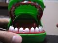 Crocodilo dentista do inferno