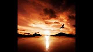 Dieradiodie - Caught On Film