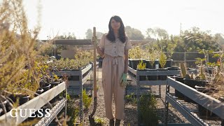 Guess Advocacy | North East Trees