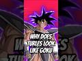 Why Does TURLES Look Like GOKU Dbz Goku Dragonball
