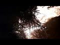 Happy Lohri Status Video Lohri Celebration Fire Happy Winter Fun Shorts Reels Instagram