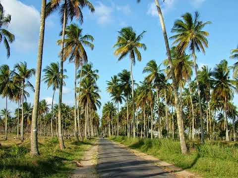 Rk feat Suraj - Vicio dele [2025]