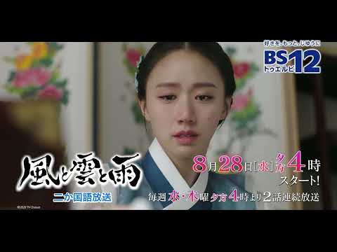 YouTube Video Preview