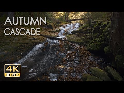 4K HDR Autumn Cascade - Waterfall Sounds - White Water - Relaxing Forest Ambiance Video