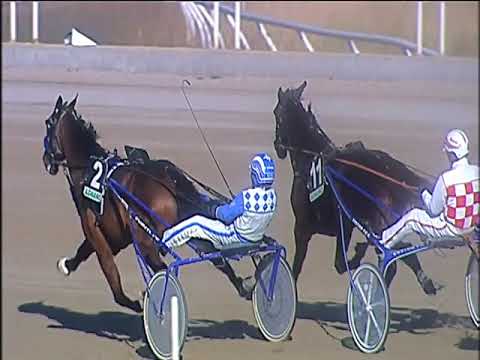 Trotto 24/12/2019 - 1ª corsa