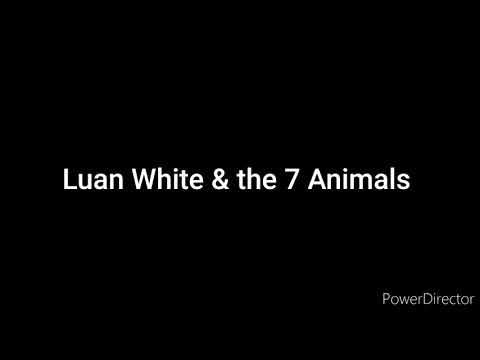 Luan White & the 7 Animals Cast Video