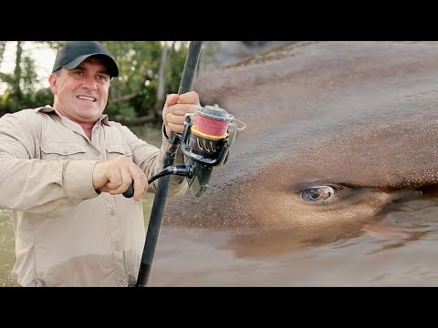LE PLUS GROS POISSON D'EAU DOUCE DE LA PLANÈTE ! - Cyril Chauquet