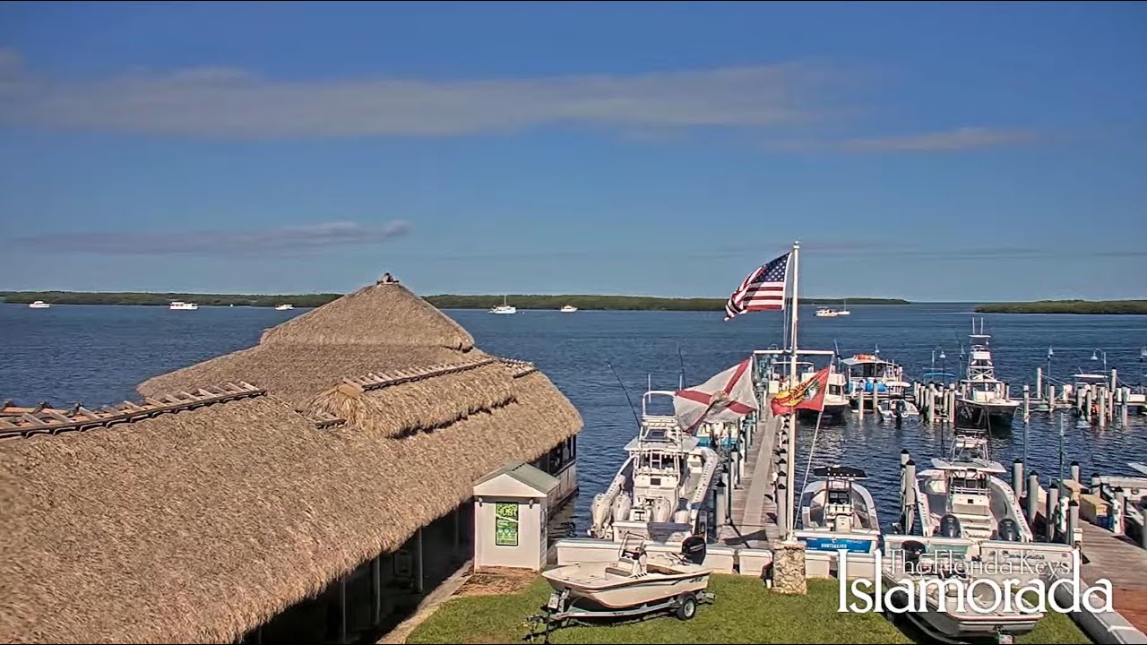 Live webcam view of Little Basin Marina Live Cam