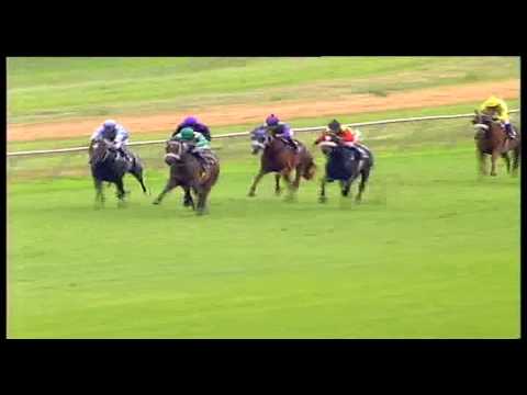 12 March 2017 Borrowdale Park Race 6