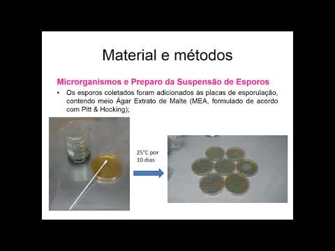 LETÍCIA FLORIANO (27º SIC UFSC)