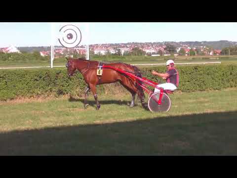 KASAČKA TRKA ,,SLOBODAN SIMONOVIĆ - SIPA"