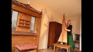 harpist Regina Ederveen plays 2 Christmas Songs on celtic harp