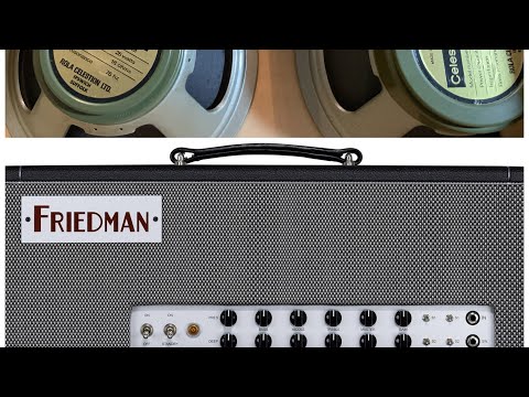 Friedman Twin Sister (head) with Greenbacks (vintage Pulsonic)