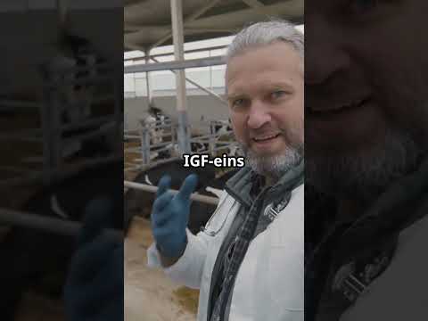 Die Wahrheit über Milch – keiner sagt’s dir!