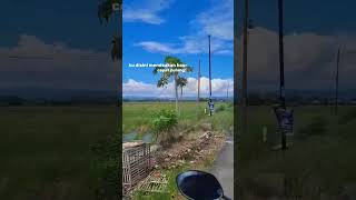 Download lagu Obati Rinduku #liriklagu #storywa #laguviral #cantikadavinca #obatirinduku #lagudangdut mp3