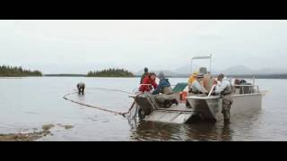 We are the Alaska Salmon Program