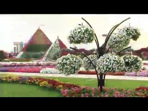 , title : '"الحديقة المعجزة" في دبي.. أكبر حديقة زهور بالعالم'